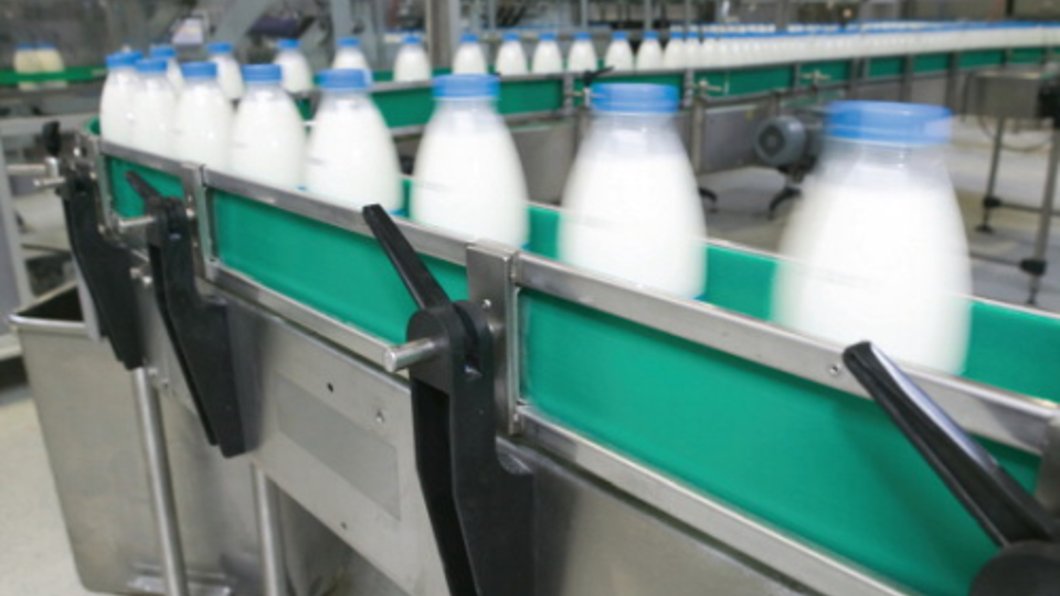 Filter Optimization Drives Cost Savings in Food and Beverage Production